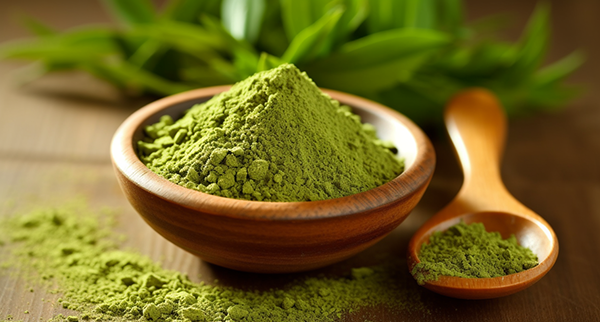 High Quality Green Tea Extract: Unleashing Nature's Finest